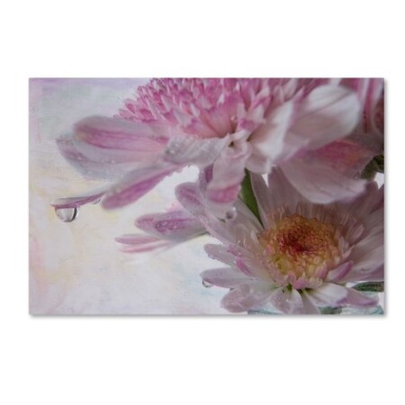 Trademark Fine Art Bob Rouse 'Dewdrops' Canvas Art, 16x24 ALI16128-C1624GG